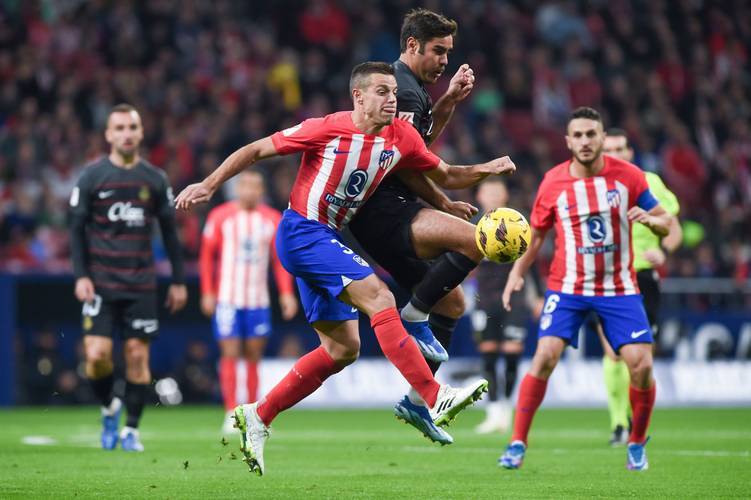 山东新援融入迅速（山东新援无缝接轨）